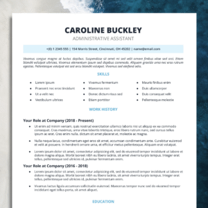 resume for experienced #8 ats friendly professional modern cv template compatible for docs, word, pages (copy)